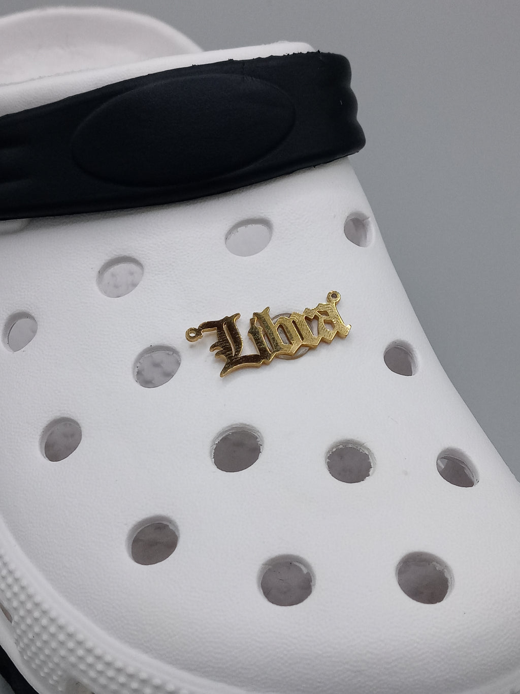 Luxx Croc Charms
