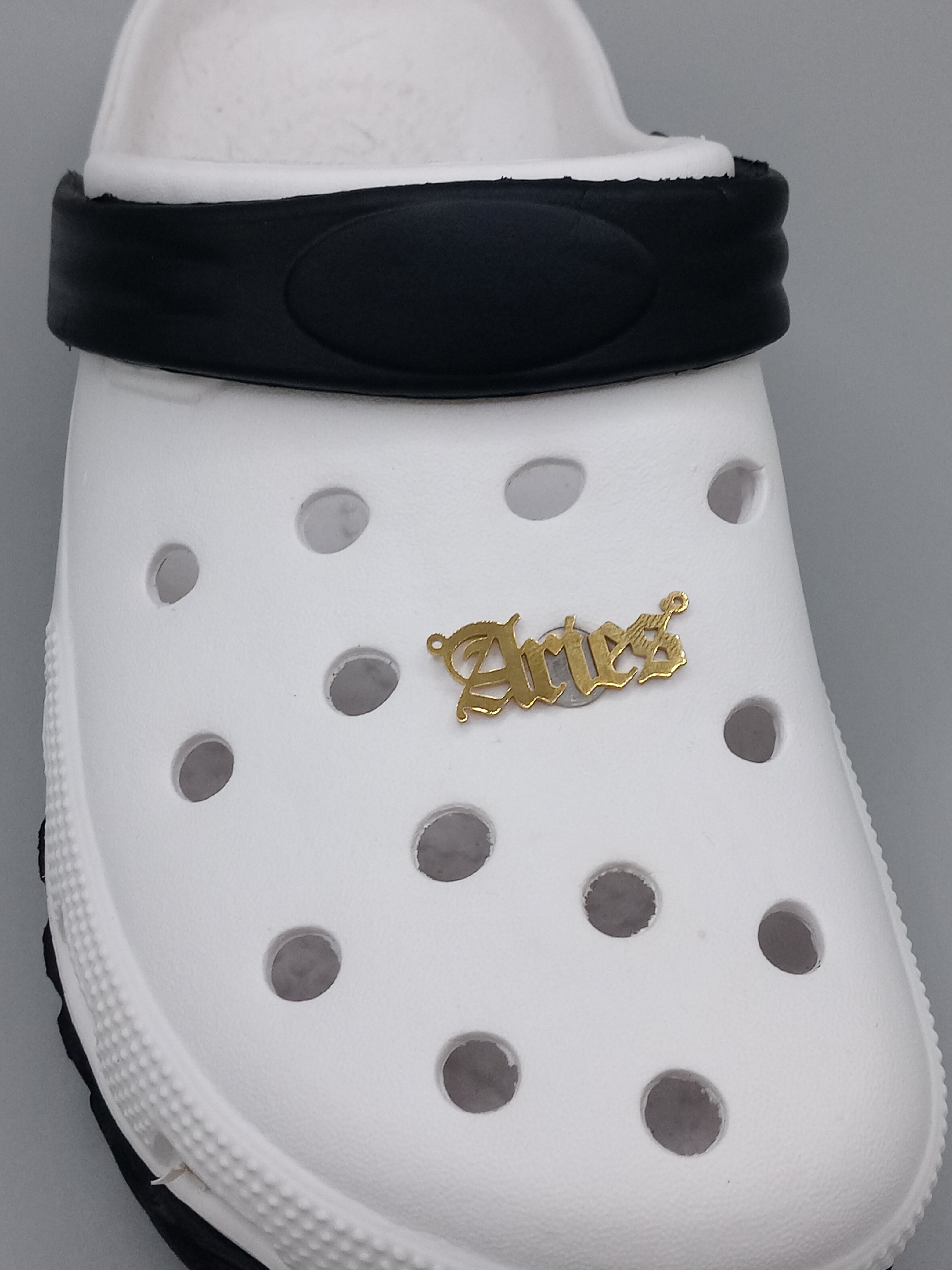 Luxx Croc Charms