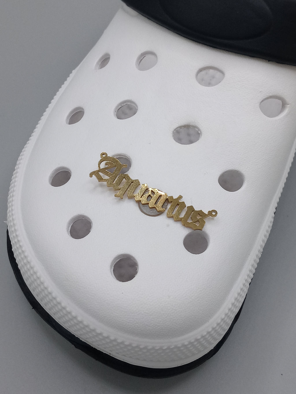 Luxx Croc Charms