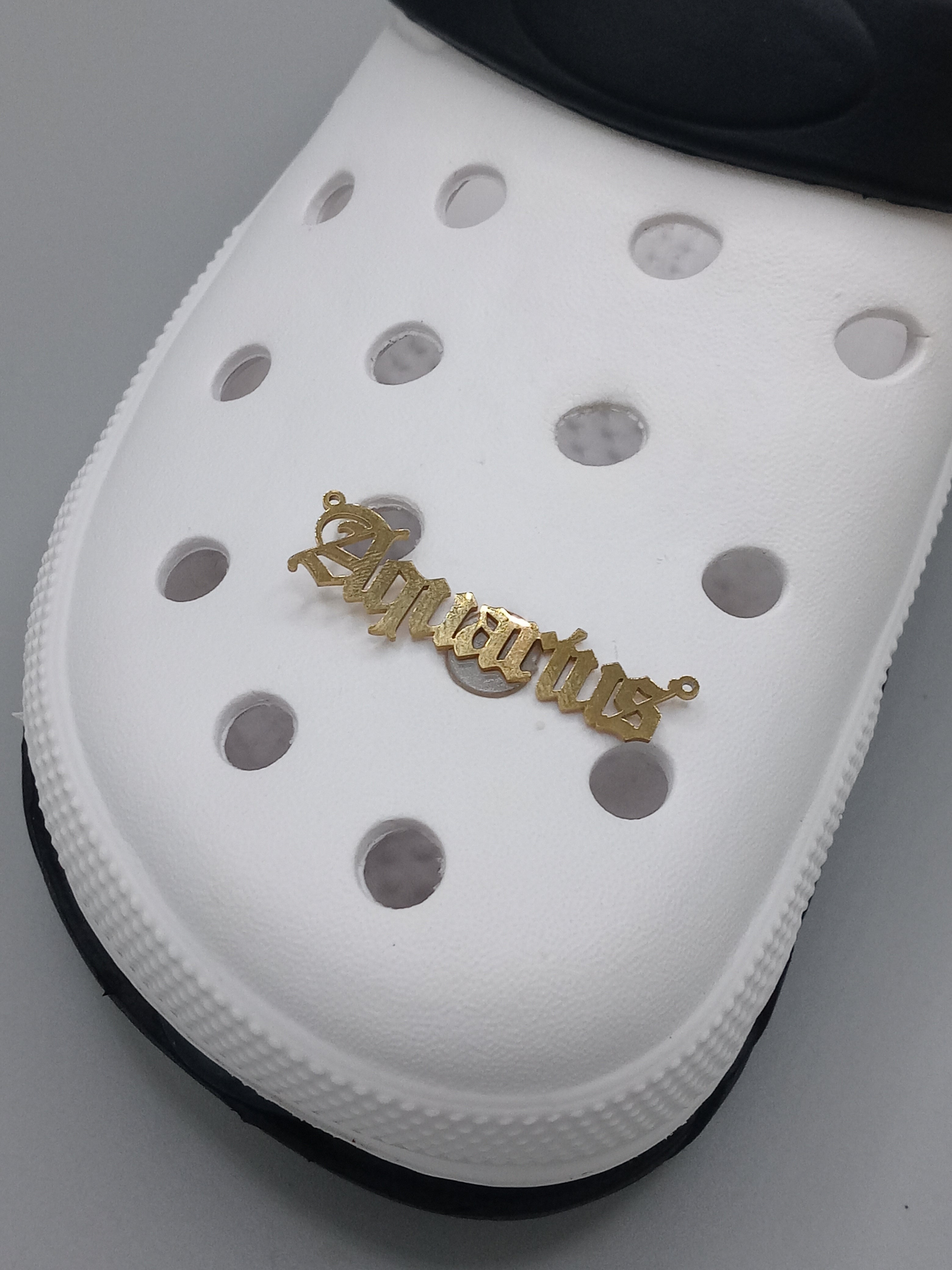Luxx Croc Charms