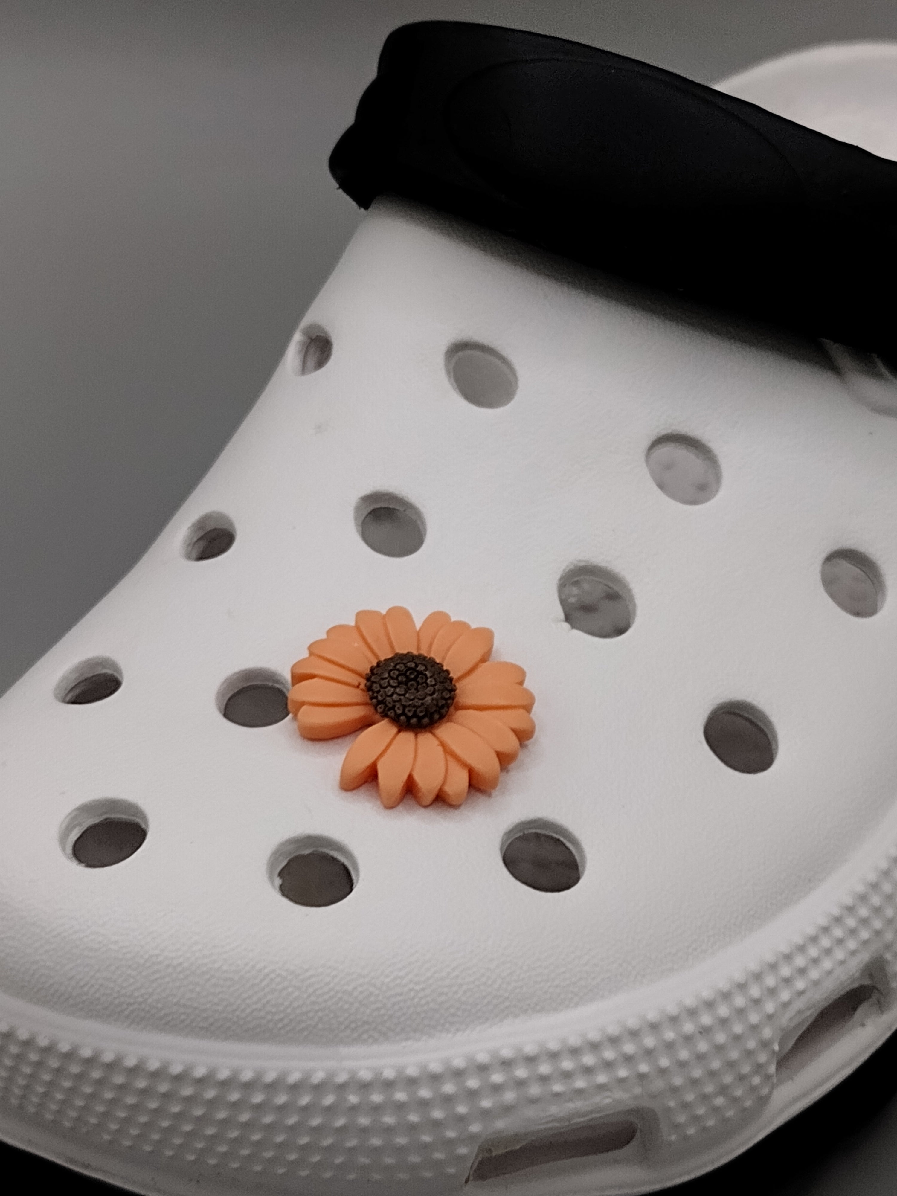 Luxx Croc Charms