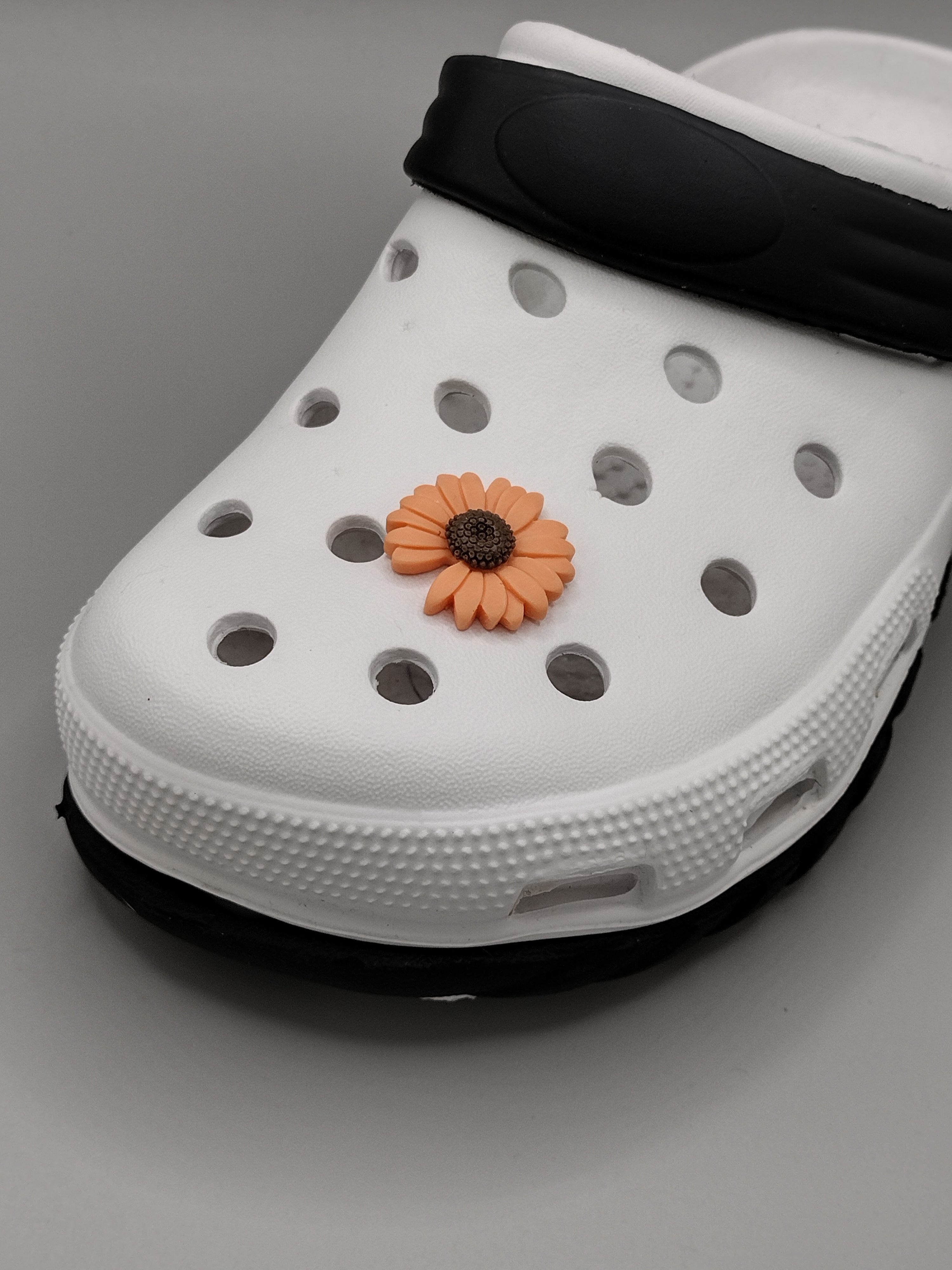 Luxx Croc Charms
