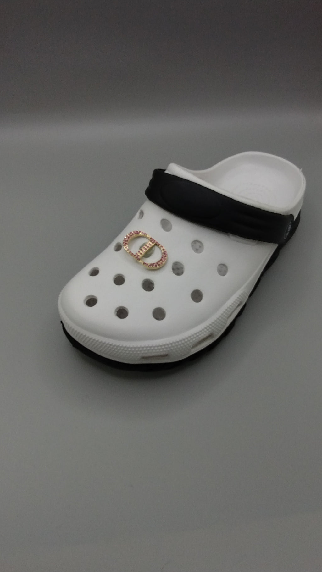 Luxx Croc Charms
