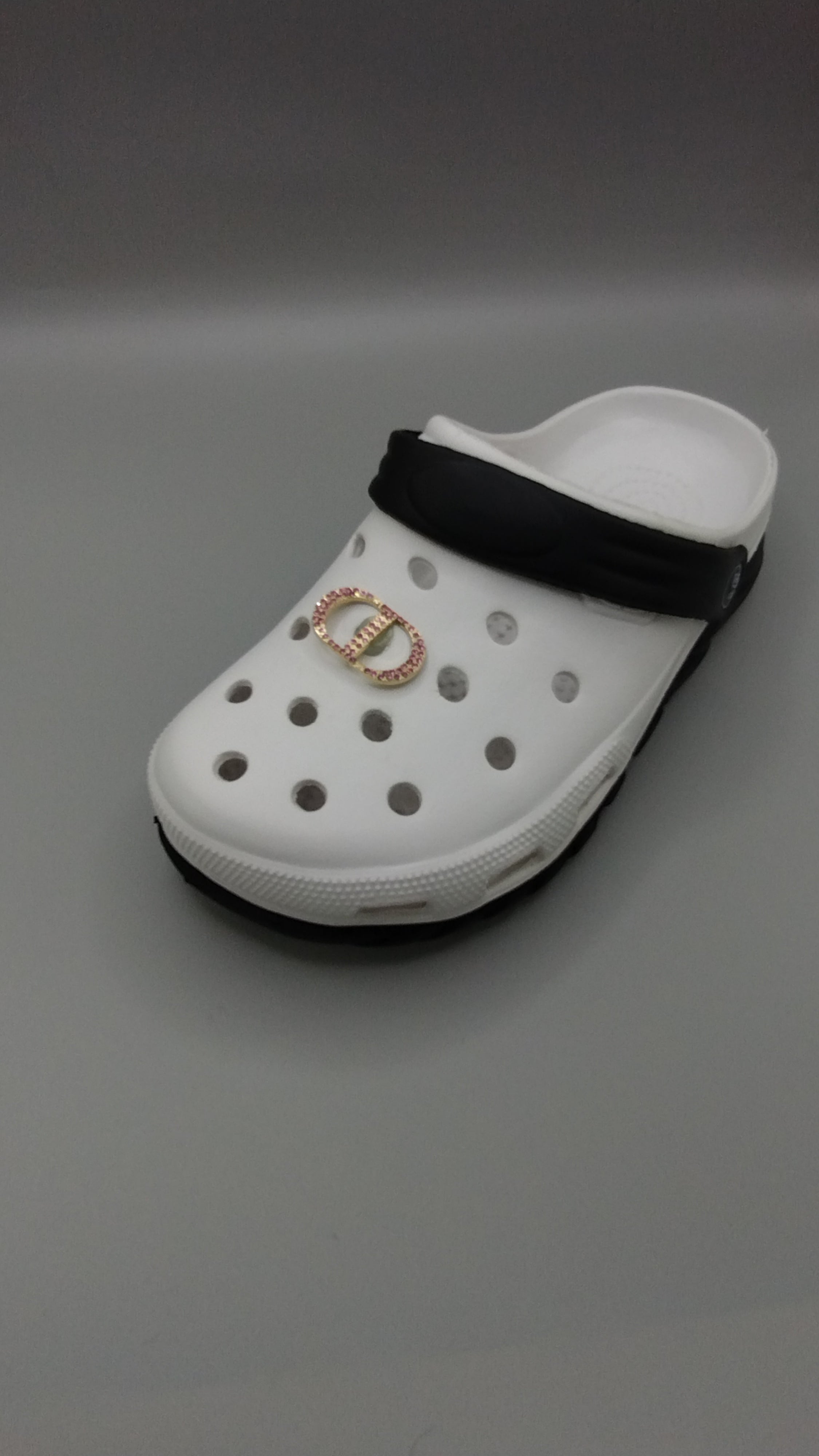 Luxx Croc Charms